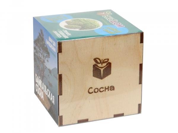 Подарочный набор для выращивания "ЭкоДом" в кубике