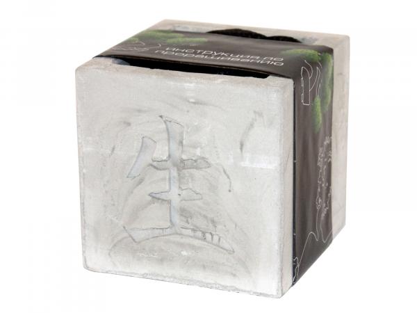 Подарочный набор "Вырасти бонсай дома" в кубике