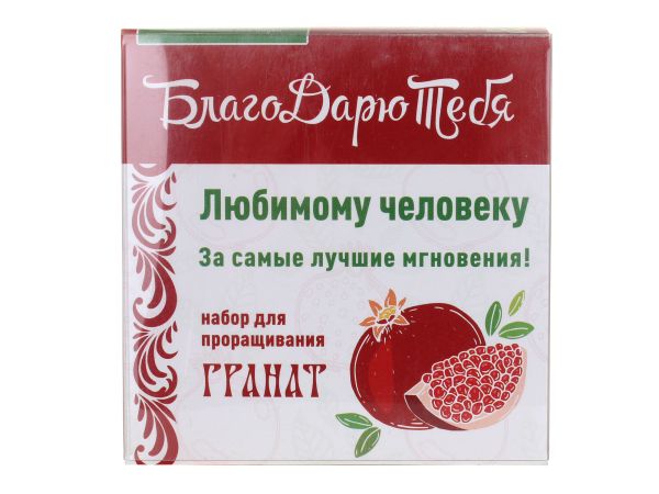 Подарочный набор для выращивания "БлагоДарю Тебя!" в кубике 8х8 см