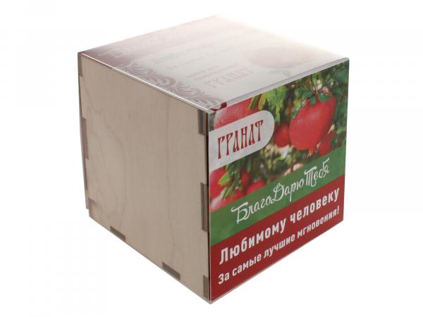 Подарочный набор для выращивания "БлагоДарю Тебя!" в кубике 8х8 см