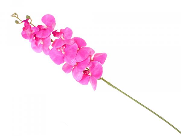 Орхидея фуксия 105 см