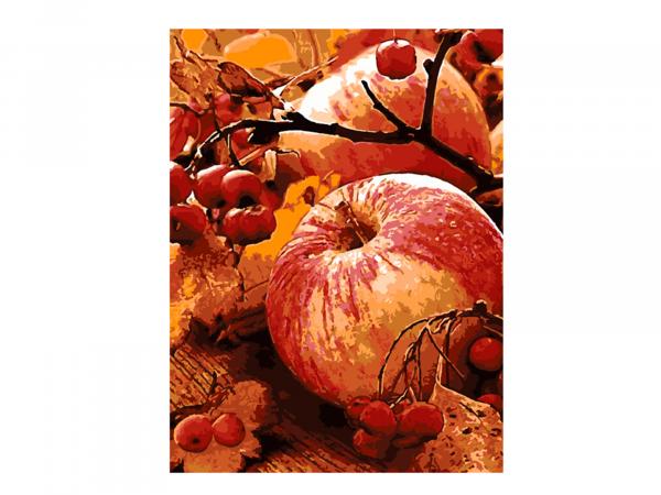 Картина по номерам "Осенние яблоки" 28,5х38 см
