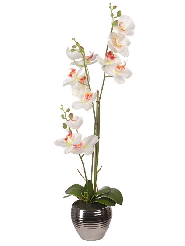 Орхидеи в керамической вазе h 62 см