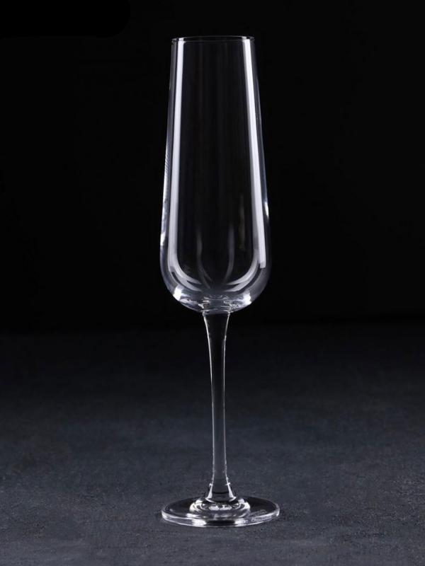 Набор бокалов для шампанского "Corvus" 160 мл 6 шт