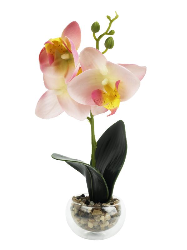 Орхидея в горшочке h 25 см