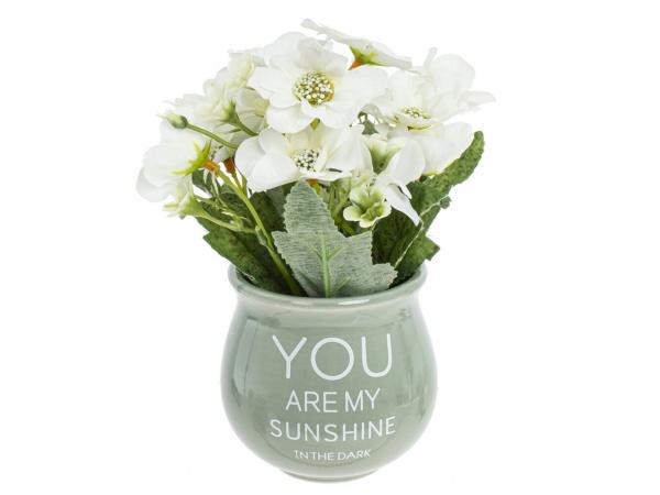 Цветочная композиция "You are my sunshine in the dark" 16,5 см