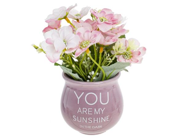 Цветочная композиция "You are my sunshine in the dark" 16,5 см