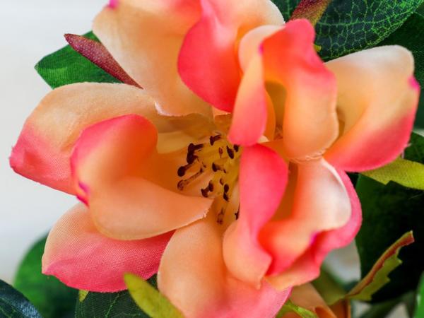 Цветок искусственный "Магнолия" 56 см