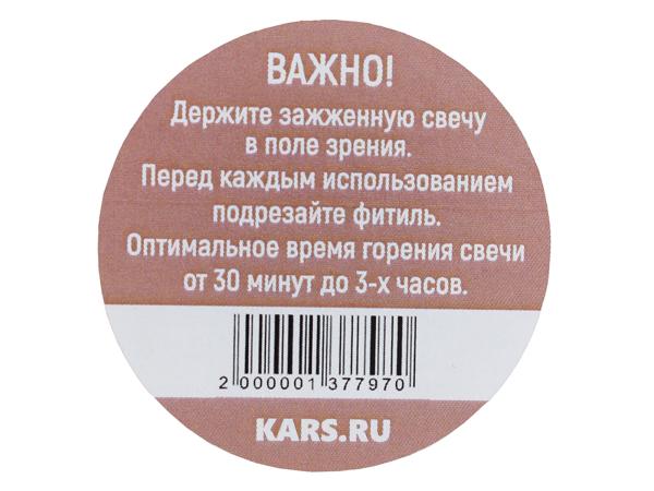 Свеча соевая 100 мл "Вечер у камина" деревянный фитиль