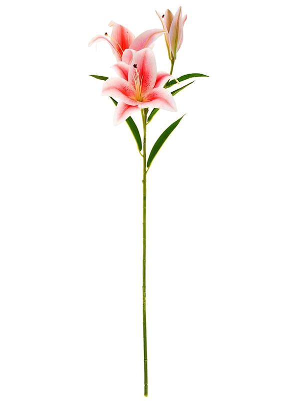Лилия розовая 81 см