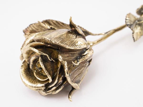 Цветок "Неувядаемая роза"