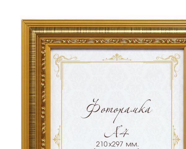 Багетная рамка 21*30 см