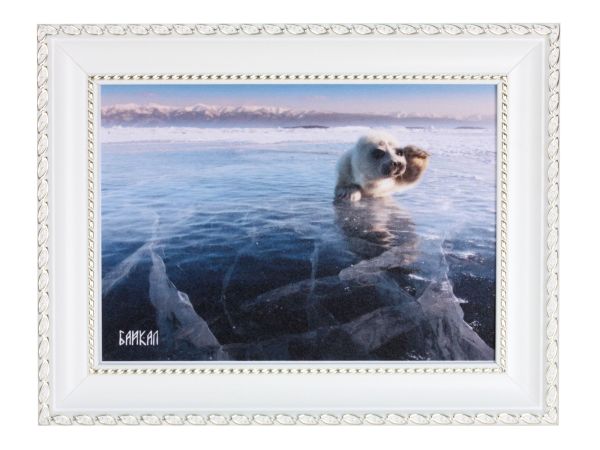 Панно "Нерпочка" 21*15 см