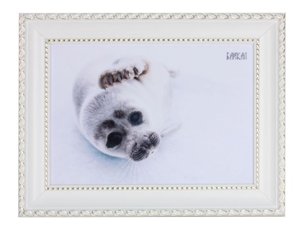 Панно "Нерпочка" 21*15 см