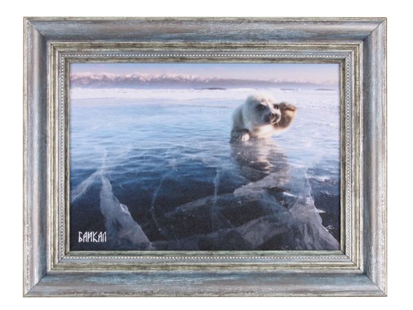 Панно "Нерпочка" 21*15 см
