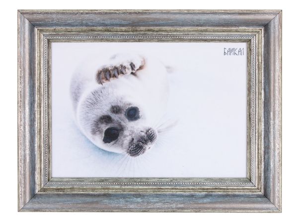 Панно "Нерпочка" 21*15 см