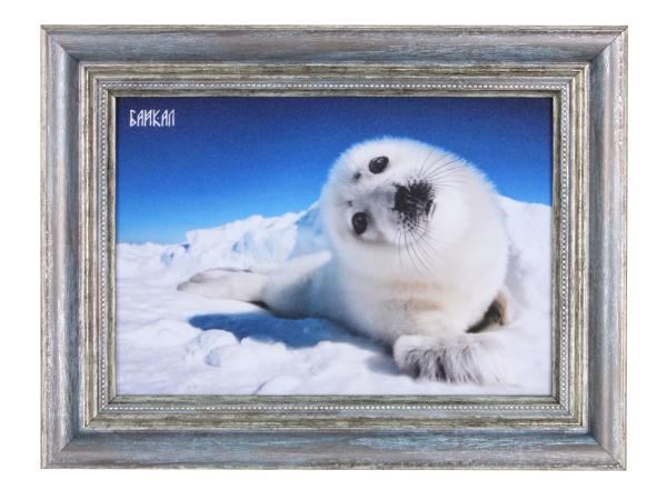 Панно "Нерпочка" 21*15 см