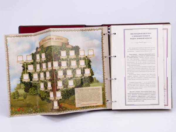Родословная книга "Летописец" в подар упаковке