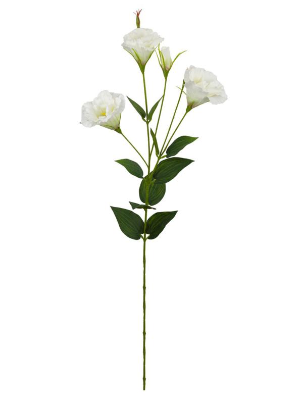 Лизиантус, 88 см, белый