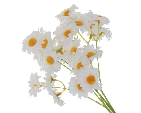 Букет Ромашек 503 см