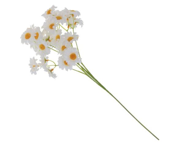 Букет Ромашек 503 см