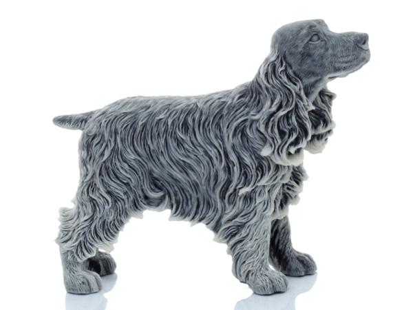 Кокер спаниель h11.5 см