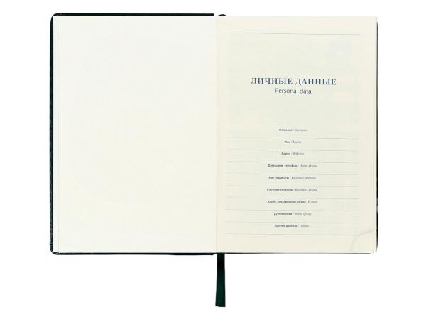 Ежедневник 168 листов, А5, "Небраска", зел.