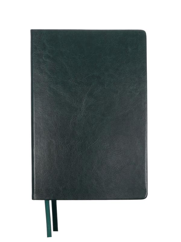 Ежедневник 168 листов, А5, "Небраска", зел.