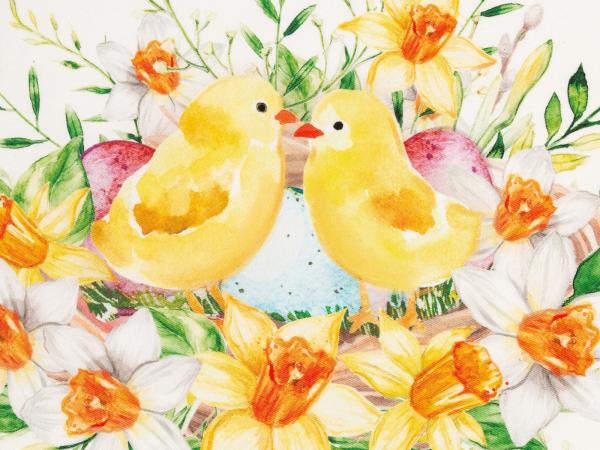 Полотенце 40х73 см "Цыплята", саржа 190 г/м2