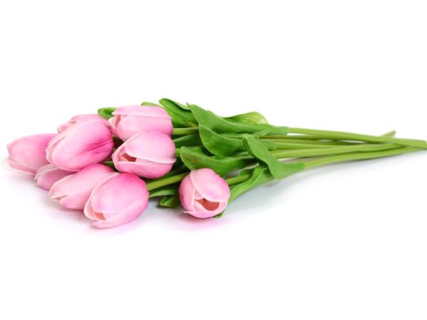 Тюльпан 30 см в ассортименте