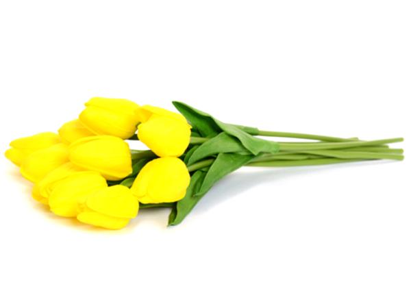 Тюльпан 30 см в ассортименте