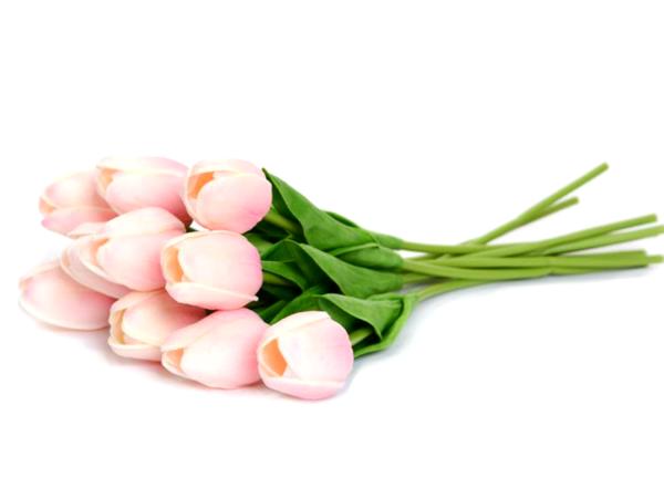 Тюльпан 30 см в ассортименте