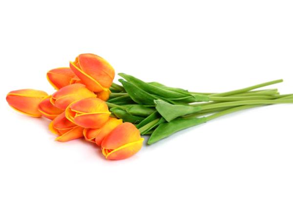 Тюльпан 30 см в ассортименте