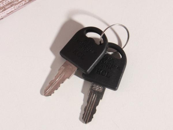 Сейф-книга "Виктор Гюго Собор Парижской Богоматери" 21х13х5 см