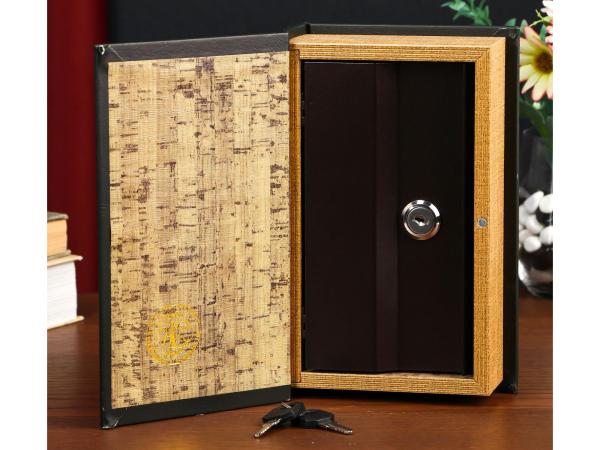 Сейф-книга "История моего успеха" 21х13х5 см