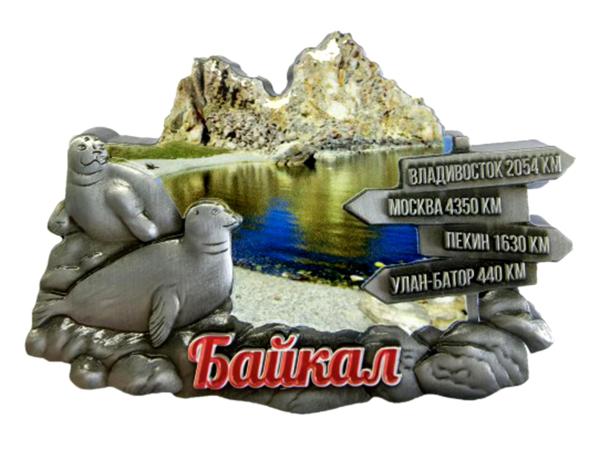 Магнит металл. "Нерпы/стрелки"