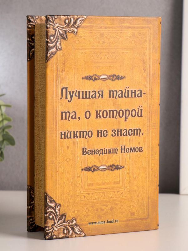 Сейф-книга "Тайны и секреты" 21х13х5 см