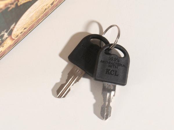 Сейф-книга "Семейный капитал" 21х13х5 см