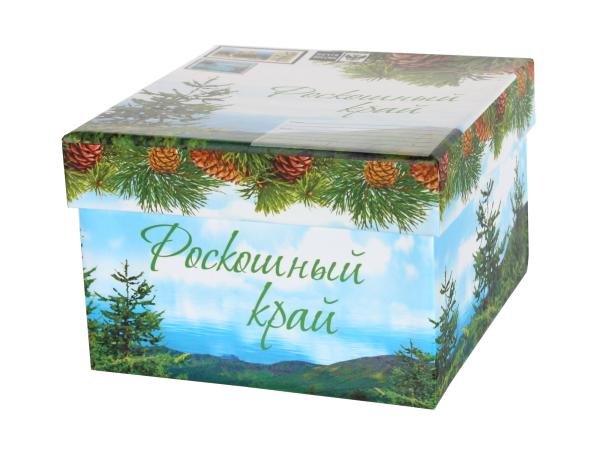 Кружка "Сибирь" 380 мл