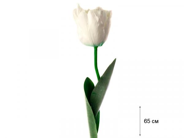 Тюльпан "Триумф" белый живое прикосновение