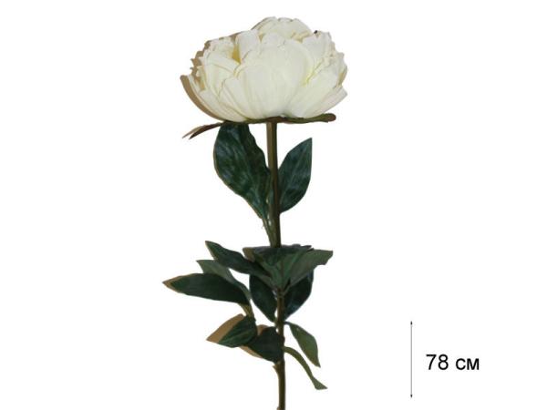 Пион белый 56 см